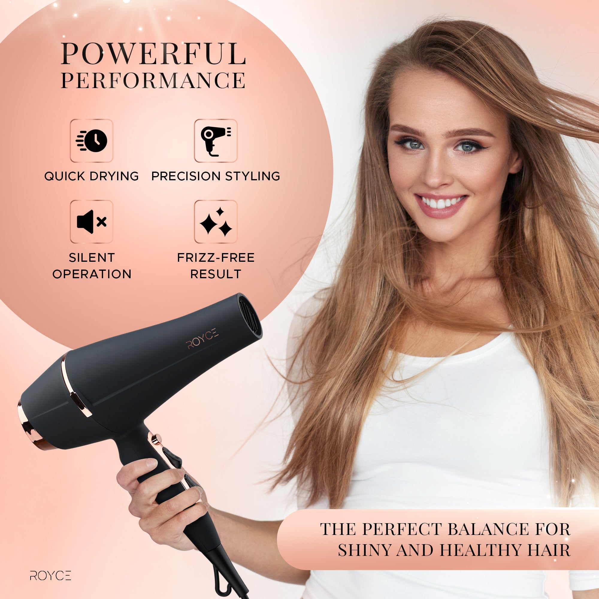 Royce Prestige AC ProDryer